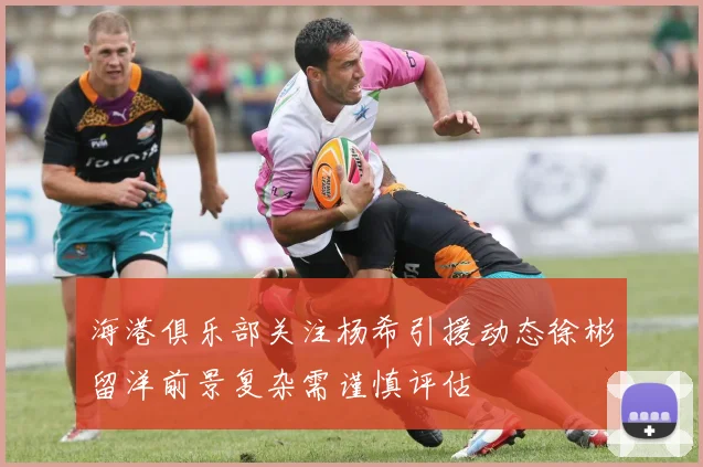 海港俱乐部关注杨希引援动态徐彬留洋前景复杂需谨慎评估