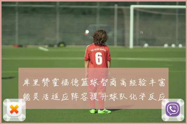 库里赞霍福德篮球智商高经验丰富能灵活适应阵容提升球队化学反应