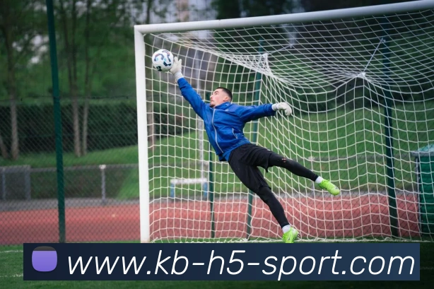 KB体育APP 封面图